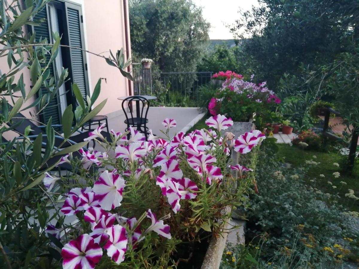 La Vie Est Belle Bed and Breakfast Finale Ligure Exteriör bild